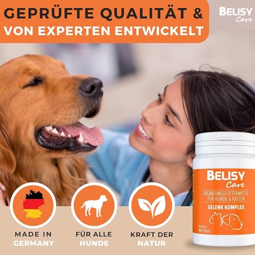 BELISY natürliche Gelenktabletten für Hunde - mit Grünlippmuschel, Glucosamin, Teufelskralle & MSM - Gelenk & Knochenschutz Tabletten für Hunde Gelenk Komplex (150g)