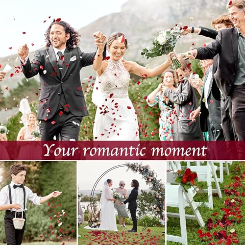 Image of 200 PCS Dried Real Red Rose Flower Petals for Wedding, 1.76oz Preserved Freeze Flower Girl Petals with 12 PCS LED Tea Lights Candles for Romantic Night Wedding Proposal Centerpeice Shower Party Decor