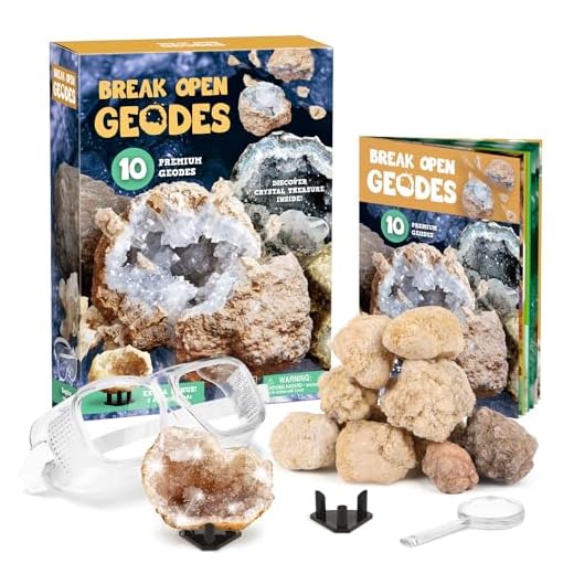 XXTOYS, Kit de Exploración de Geodas, Ven con 10 Geodas Grandes, Juego de Experimento Sorpresa, Minerales Regalo&Juguete para Niños Niñas de 6-12 Años