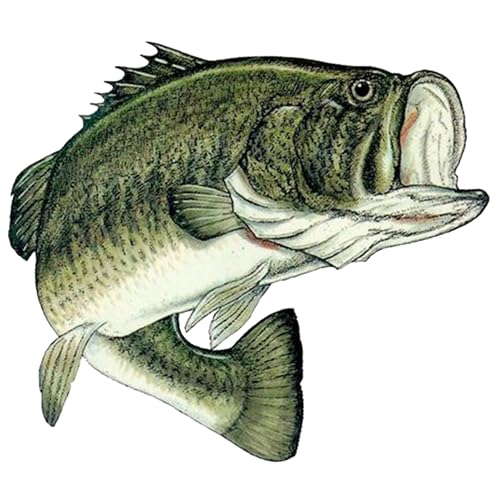 Image of Small Fishing Bass Fish Sticker Decal Fishing Bumper Sticker Fish Auto Decal Car Truck Boat RV Real Life Pole Tackle Box Fisherman (3 Inch)