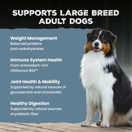 Image of Blue Buffalo Wilderness Chicken Healthy Weight Adult Dry Dog Food with Wholesome Grains + Antioxidant-Rich Fruits & Veggies, 31g Protein, Supports Joint Health & Mobility, Natural Ingredients, 28 lbs.