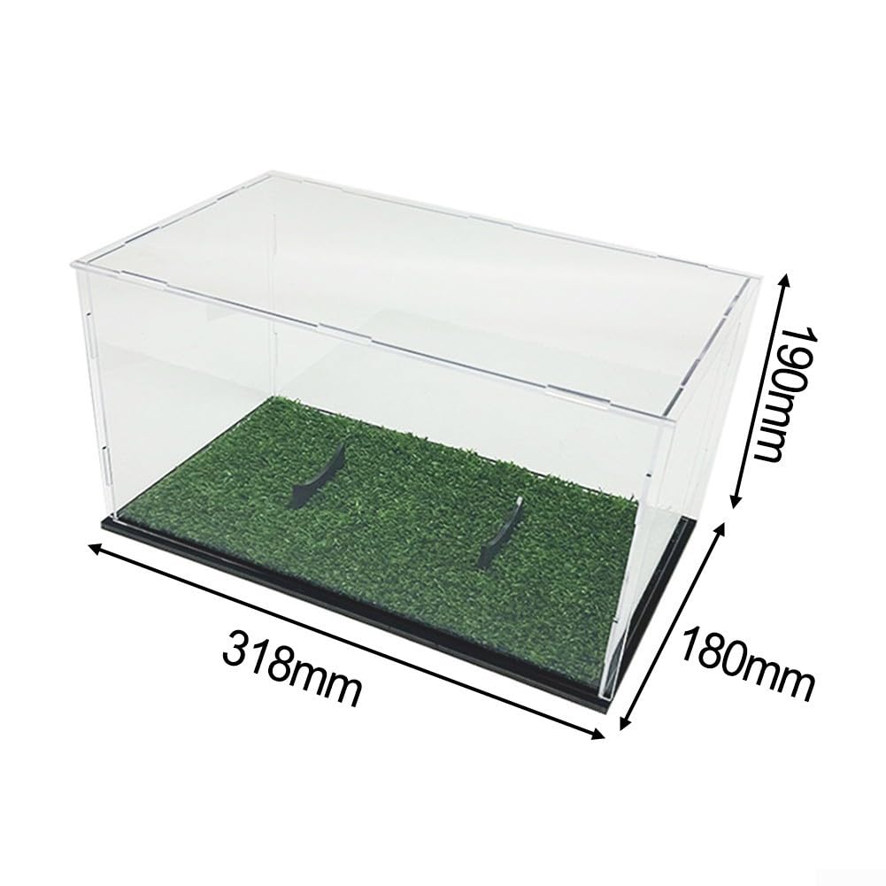 Vitrina de rugby de fútbol, caja de almacenamiento transparente de acrílico, organizador de almacenamiento extraíble a prueba de polvo para pelota de tamaño estándar, color negro y verde