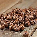 Bulk Package of 144 Primitive Rusted Metal 1/2