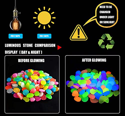 Rwekdza Pietre Luminosi, 200pcs Colorate Ciottoli