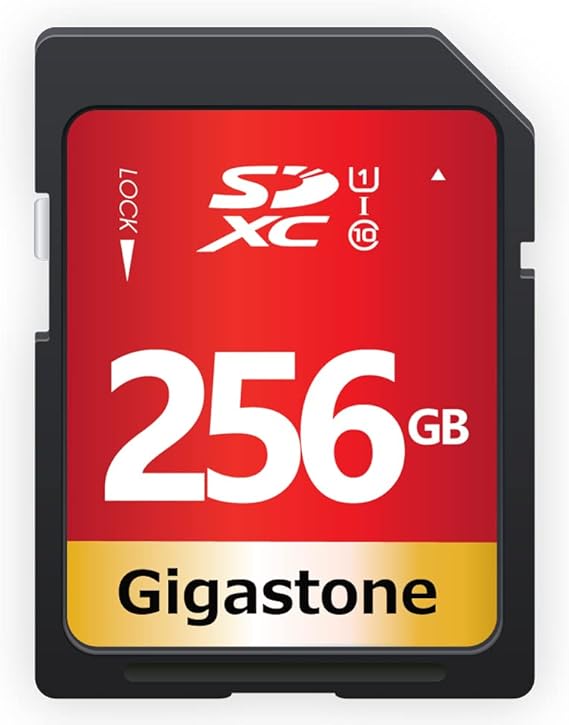 Gigastone 256GB SD Card UHSI U1 Class 10 SDXC Memory Card High Speed