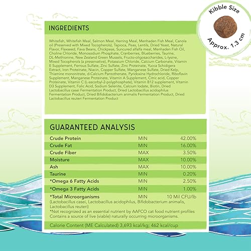 Image of Blackwood Bounty Dry Cat Food, Whitefish & Lentil Recipe for All Life Stages, 10 Pound Bag, High Protein, Grain Free