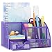 EasyPAG Mesh Desk Organizer Office Accessories Caddy 5 Compartments with Drawer,Purple
