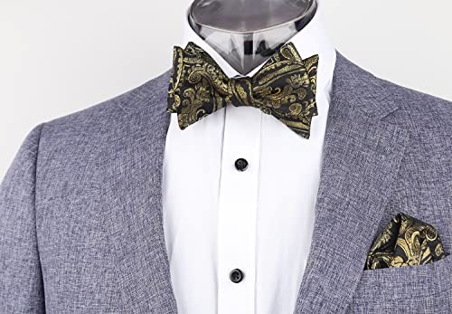 Image of Alizeal Mens Paisley Adjustable Bow Tie Set
