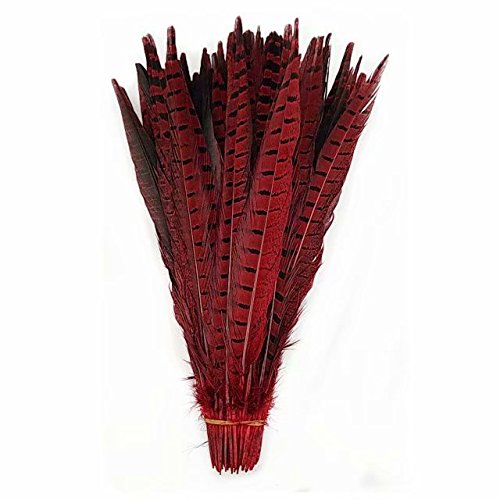 Celine lin 10PCS Natural DIY Pheasant Feathers Pheasant Tails 12-14inch(30-35CM),Red