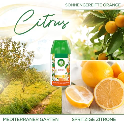 Air Wick Freshmatic Max Raumspray DUO – Nachfüller für den Air Wick Freshmatic Max – Duft: Citrus – 2 x 250 ml Nachfüller Raumduft und Lufterfrischer 3