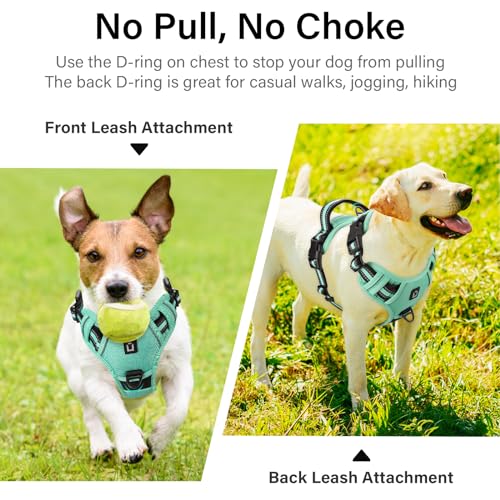 Hundegeschirr No-Pull für Kleine, Große, Mittelgroße Hunde - Weich, Atmungsaktiv, Einstellbar, Reflektierend Mit Gepolstertem Griff - Anti-Zug Brustgeschirr