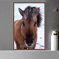 Framed Canvas Wall Art Horse Animals Dramatic Farmhouse/Country Horse Living Room Multicolor Photography - 16x24 inches