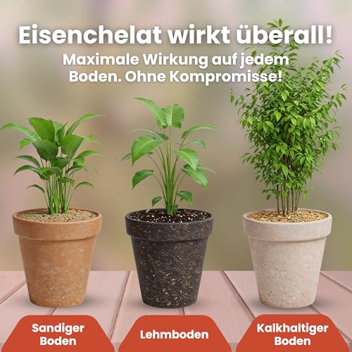 LERAVA® – Eisenchelat Dünger (800g) – Eisendünger für Pflanzen | Hortensien Dünger Eisen – Wirkt gegen Chlorose & Blattvergilbung – Kräftiges Blattgrün & sichtbarer Effekt nach wenigen Tagen 5