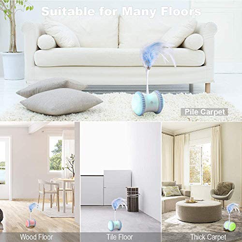 DORSION Gatto Palla, Auto Altalena Giocattolo per