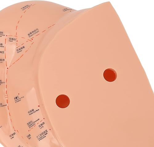 Miniatura 8 de Modelo de acupuntura de oído humano de 15.7 in, modelo de masaje profesional de zona auditiva de PVC, reflexología profesional de aprendizaje de