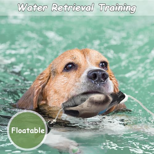 Heuyrao 1 Pcs Duck Dog Toy for Waterfowl Hunting Retriever Dog Training,Foam Interactive Dog Duck Toy,Mimics Dead Duck Dummy Bumper Toys Suitable for Puppies or Adult Hunting Dogs