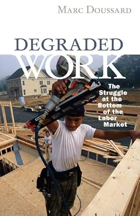 Degraded Work: The Struggle at the Bottom of the Labor Market book cover