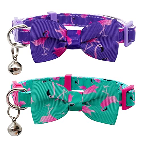 The 12 Best Breakaway Cat Collars in 2023 Reviews & Top Picks