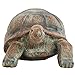 Sunnydaze Talia The Tortoise 29-Inch Glass Fiber Reinforced Concrete Garden Statue