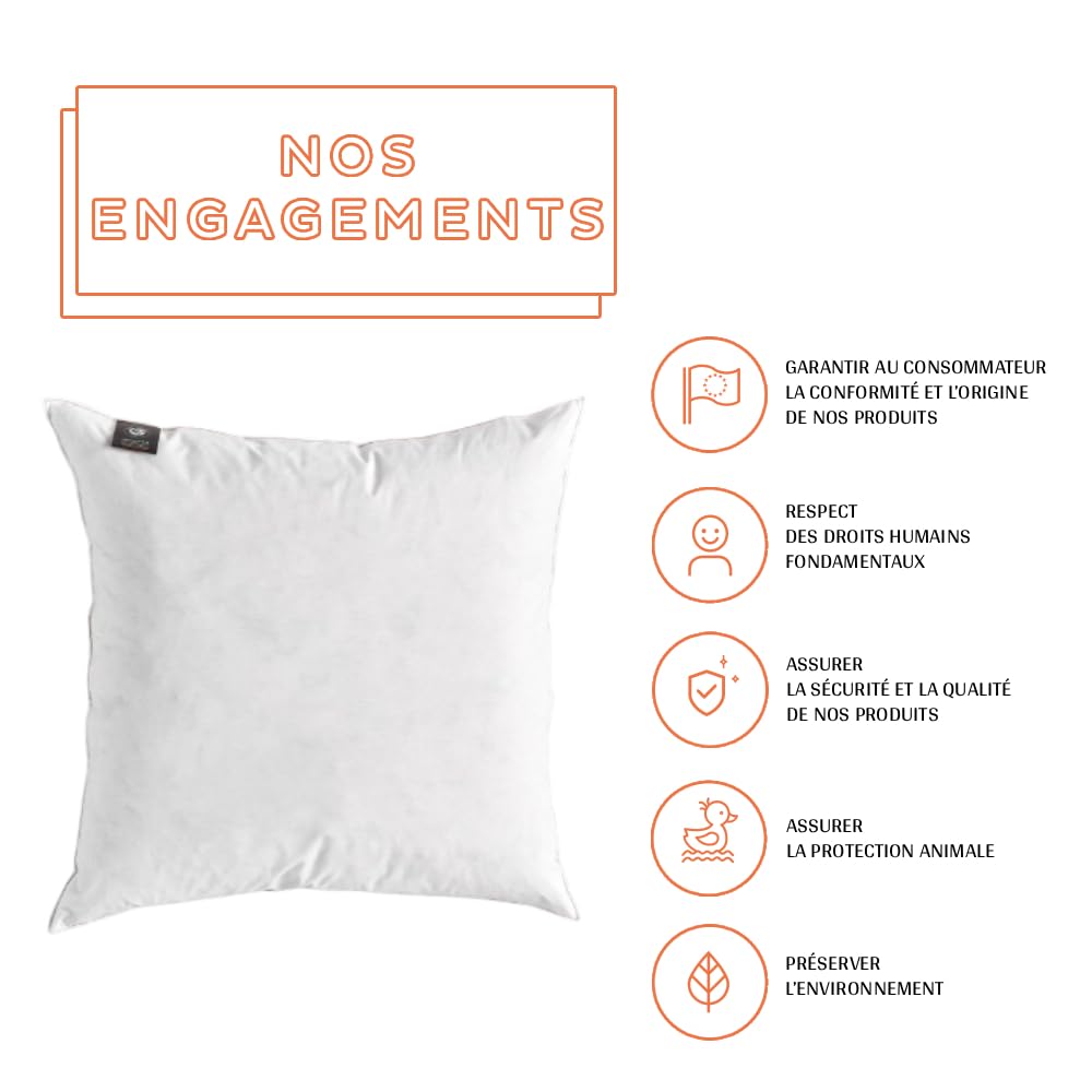Oreiller Plat 60x60 Duvet & Plume | Couchage sur le ventre & dos - Garnissage naturel plumes léger - Anti-cambrure nuque - Douceur saine - Fabriqué en France