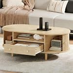 Table Basse Salon Ovale 100x50x36 cm avec Porte à roulettes et Rangement, Petite Table de Salon en Bois, Design Moderne pour Canapé et Petit Espace