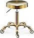 Stołek na kołach Laboratoryjny stołek pneumatyczny hydrauliczny stołek podnoszący kliniczny spa i biuro tatuaż obrotowy stołek,mosiądz,a (Color : Brass)