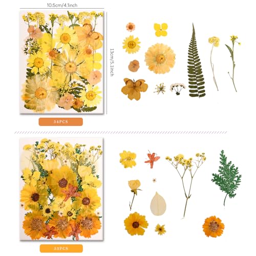Image of 100 PCS Yellow Pressed Dried Flowers and Leaves with Tweezers | Natural, For Resin, For Candle, For Jewelry, For Scrapbooking & DIY Crafts