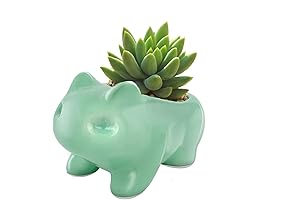 Bloom Buddies: Adorable Pokémon Ceramic Pots for a Touch of Whimsy