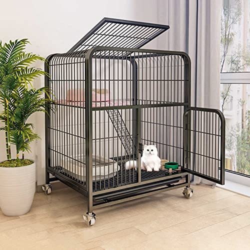 L̃P[WOLLLLLP[WvCyLGN[W̃^qLP[Wnb`LB - AqAqLAoj[iTCYF78x55x85cmj FANDIAO