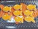 Ann Clark Cookie Cutters Goldfish/Simple Fish Cookie Cutter, 3