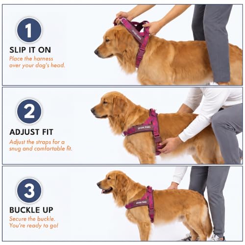 Image of Spark Paws No Pull Front Clip Dog Harness - Easy On, Padded and Lightweight