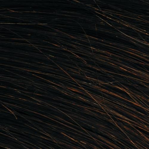 Bravo Wig Color R1HH - Raquel Welch Women's Wigs Long Lace Front Human Hair Monofilament Top Hand-Tied Bundle with Travel Kit, MaxWigs Hair Loss Booklet