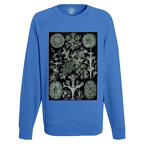 Sweatshirt homme planche de lichen gravure ancienne dessin biologie rétro