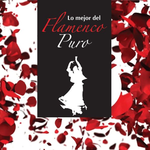 Cuadro Flamenco Torres Bermejas