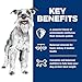 Hill's Science Diet Small & Mini, Senior Adult 7+, Small & Mini Breeds Senior Premium Nutrition, Wet Dog Food, Chicken & Vegetables Stew, 3.5 oz Tray, Case of 12