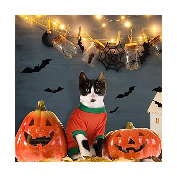 5 pcs halloween dog shirt halloween dog clothes pumpkin ghosts skeletons pet costume printed funny scary dog apparel halloween party cosplay supplies for pet dogs, cats - image 6