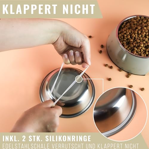 ne&no® Futternapf 2er Set für Welpen und mittelgroße Hunde [Gr. M / 350 ml] Hundenapf rutschfest | Trinknapf Katze | Dog Bowl (M, Taupe)