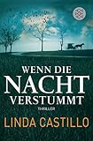 Wenn die Nacht verstummt: Thriller