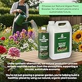 Northern Algae Natural Algae Plant Food. Algae Fertiliser for Indoor & Outdoor Use. Concentrated Plant Food, Sustainably Sourced Microalgae Biostimulant. Nature’s High-Power CO₂ Absorber. (1L) - Image 3