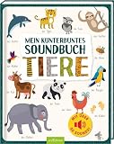 Mein kunterbuntes Soundbuch – Tiere: Mit über 50 Sounds | Hochwertiges Soundbuch mit realistischen Sounds für Kinder ab 24 Monaten (Mein großes Geräuschebuch)