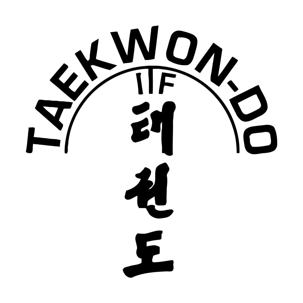 Lzhouting Wall Stickers 2096 Taekwon-Do Wall Decals Karate Sports Vinyl Wall Sticker Fighting Sports Wall Poster Removable Taekwondo Wallpaper Decor Extra Large - 75X79cm