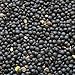 Hunza Organic Black Beluga Lentils (2-lbs)