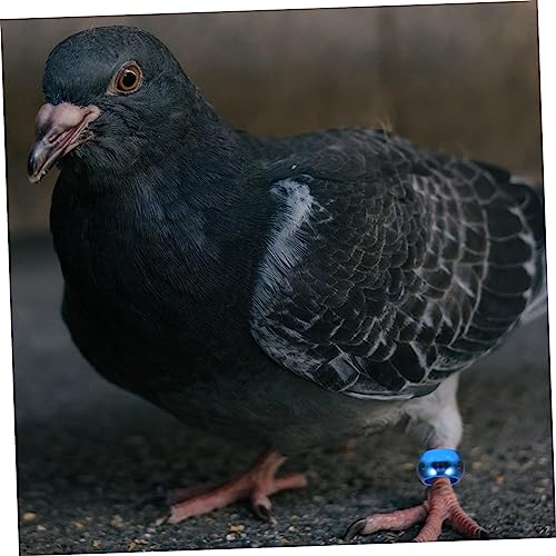 BESPORTBLE 10 Peças Tornozeleira De Pombo-Correio Anéis De Perna De Aves Marcadores De Perna De Fran