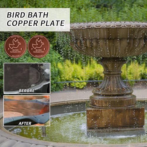 Placa de limpieza para baño de pájaros que mantiene el agua cristalina 3