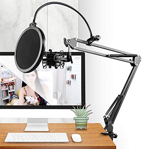 Bras de microphone articulé et support araignée pour micro BM800 - 2