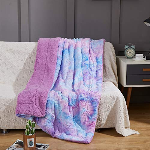 Cocoplay W Fuax Fur Throw Blanket, Super Soft Fuzzy Lightweight Luxurious Cozy Warm Fluffy Plush Sherpa Purple Rainbow Microfiber Blanket For Bed Couch Living Room (Lavender, Throw(50"X 65")) #TOP2