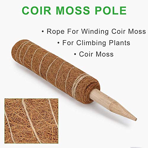 lossomly Moss Pole para soporte de plantas domésticas, postes de ...
