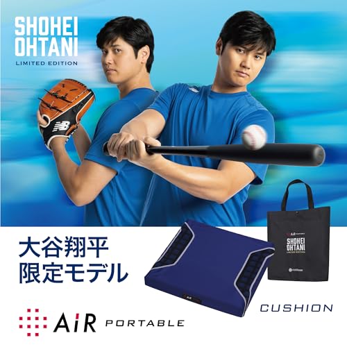 西川 10周年AiR PORTABLE クッション　座布団　nishikawa 西川 10周年AiR PORTABLE クッション 座布団 nishikawa Amazon.co.jp
