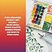 SAKURA Koi Pocket Field Sketch Kit - Watercolor Sets for Painting On the Go - 12 Colors - 1 Water Brush - 1 Sponge - 1 Palette