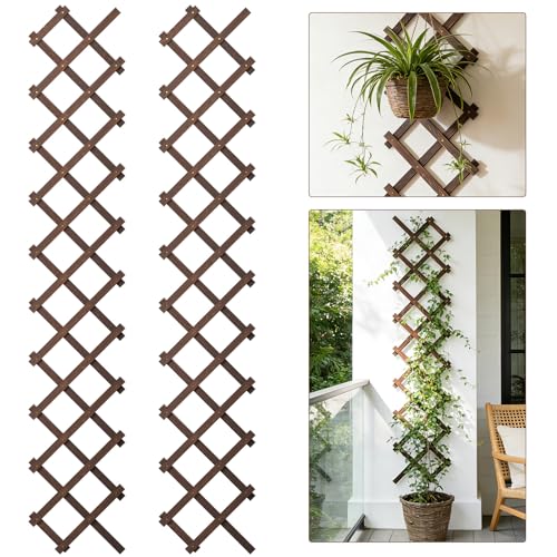 Image of 2 PCS Expandable Garden Trellis, 13 inch x 68 inch Trellis for Climbing Plants Outdoor, Wooden Lattice Fence Wall Panel Lattice Panels for Outside, for Climbing Plants Vine Ivy Rose Cucumbers Clematis (2PCS)